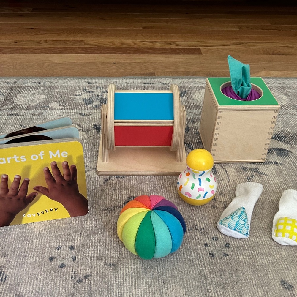 Lovevery The Senser Play Kit (partial)